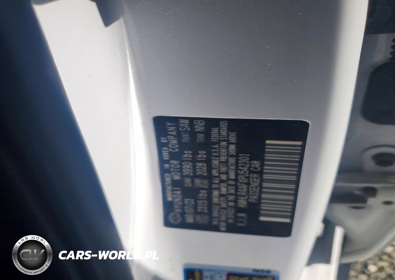 2023 Hyundai Elantra N Line VIN:KMHLR4AFXPU542301 - 13