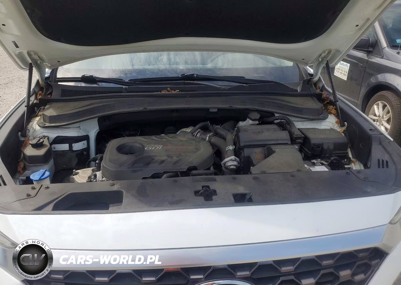 2019 Hyundai Santa Fe Ultimate 2.0T VIN:5NMS5CAA6KH065425 - 12