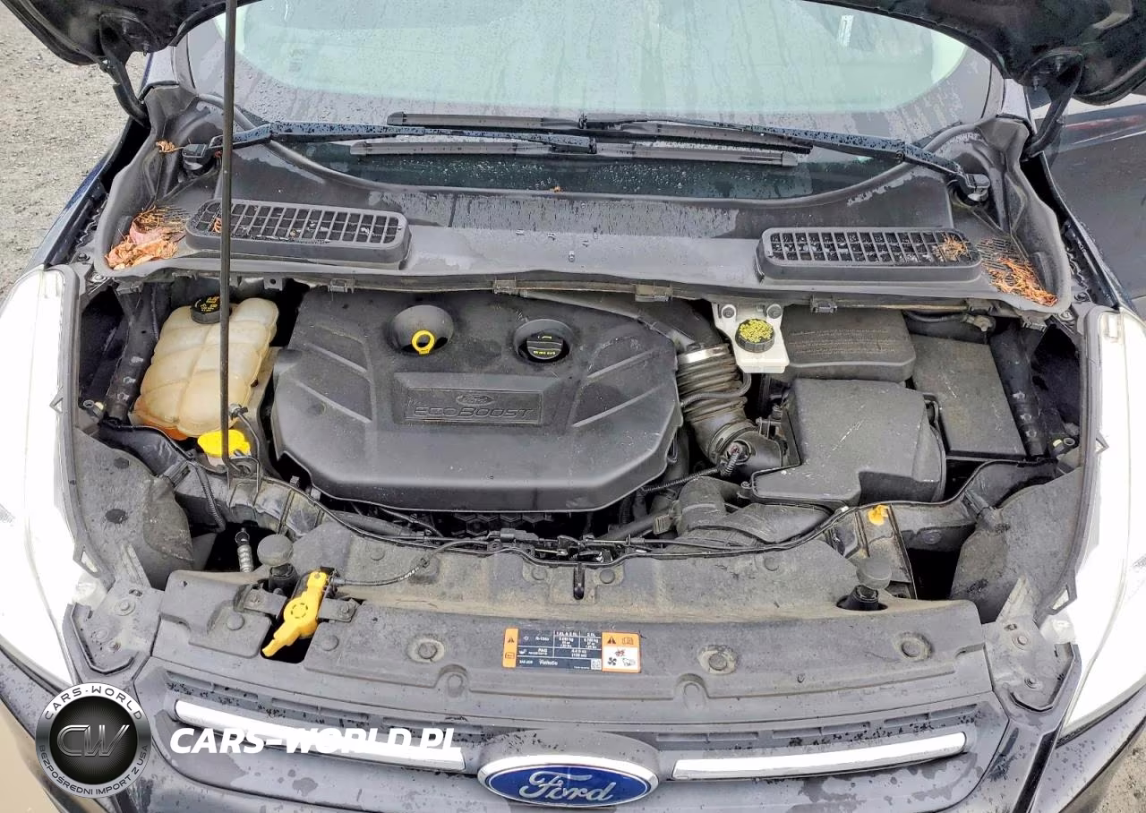 2015 Ford Escape Se VIN:1FMCU9G93FUC05660 - 12