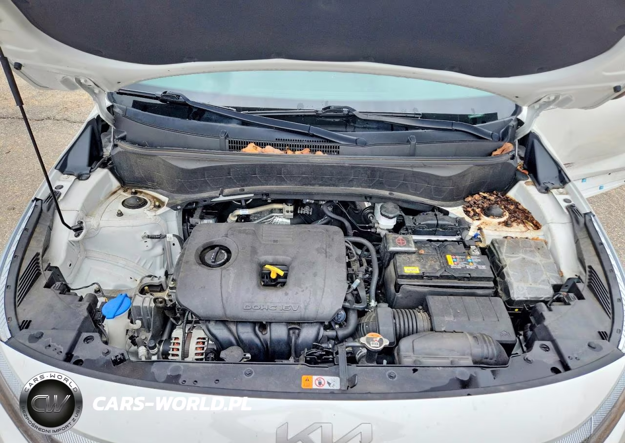 2022 Kia Seltos Ex VIN:KNDERCAA3N7321596 - 12