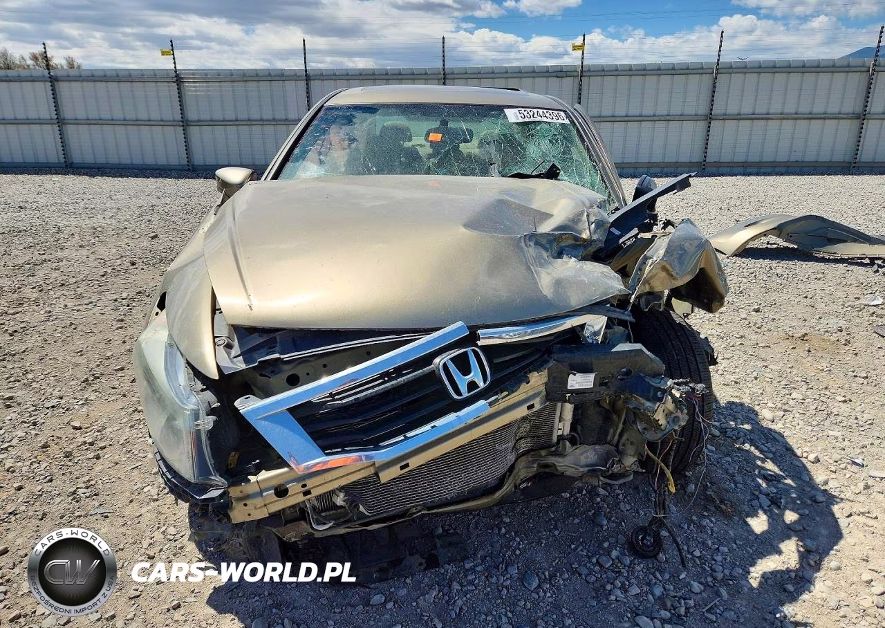2010 Honda Accord Exl VIN:1HGCP3F80AA024237 - 5