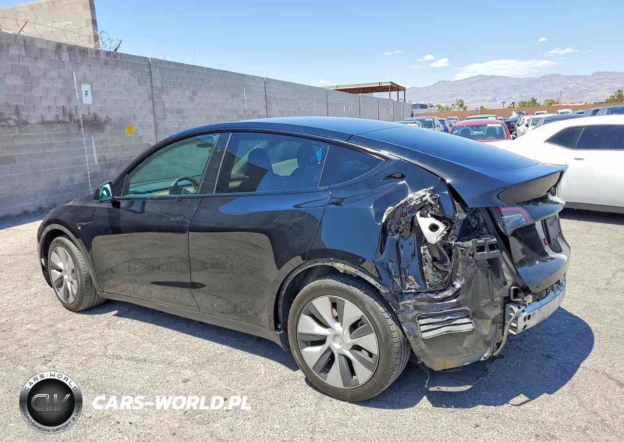 2023 Tesla Model Y VIN:7SAYGDEE2PF813543 - 2