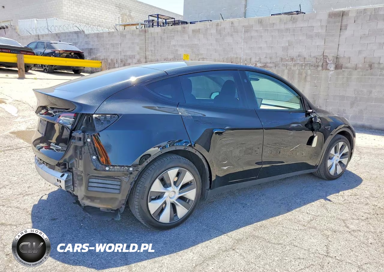 2023 Tesla Model Y VIN:7SAYGDEE2PF813543 - 3