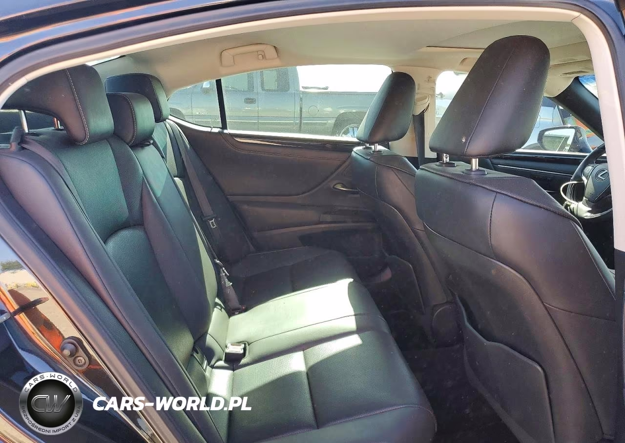 2020 Lexus Es 300H VIN:58AD21B16LU008743 - 10