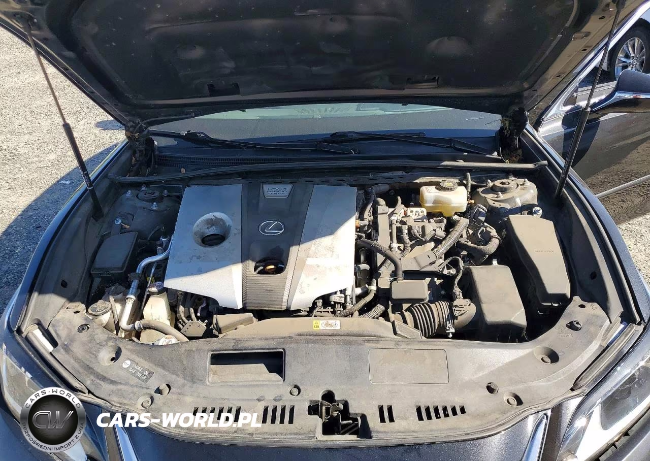 2020 Lexus Es 300H VIN:58AD21B16LU008743 - 11