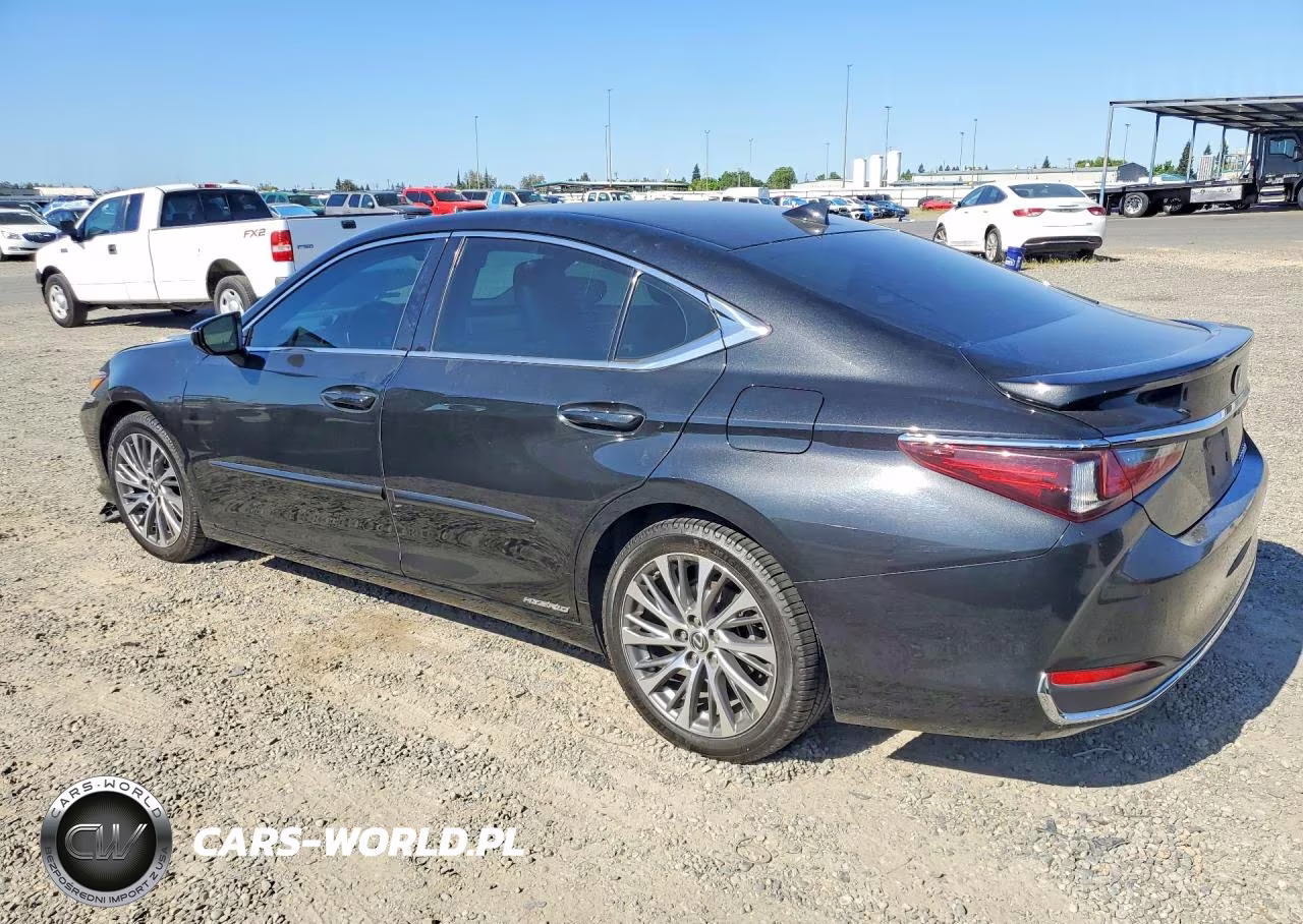 2020 Lexus Es 300H VIN:58AD21B16LU008743 - 2