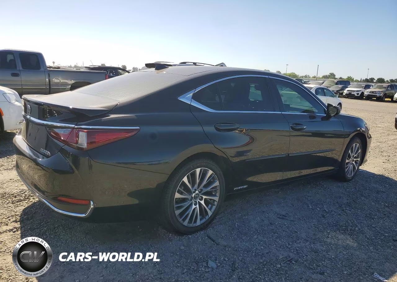2020 Lexus Es 300H VIN:58AD21B16LU008743 - 3