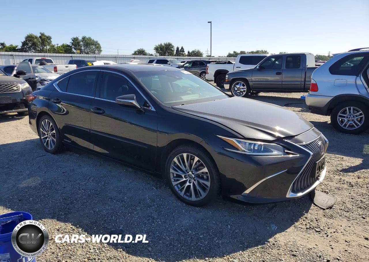 2020 Lexus Es 300H VIN:58AD21B16LU008743 - 4