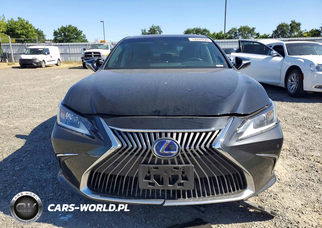 2020 Lexus Es 300H VIN:58AD21B16LU008743 - 5