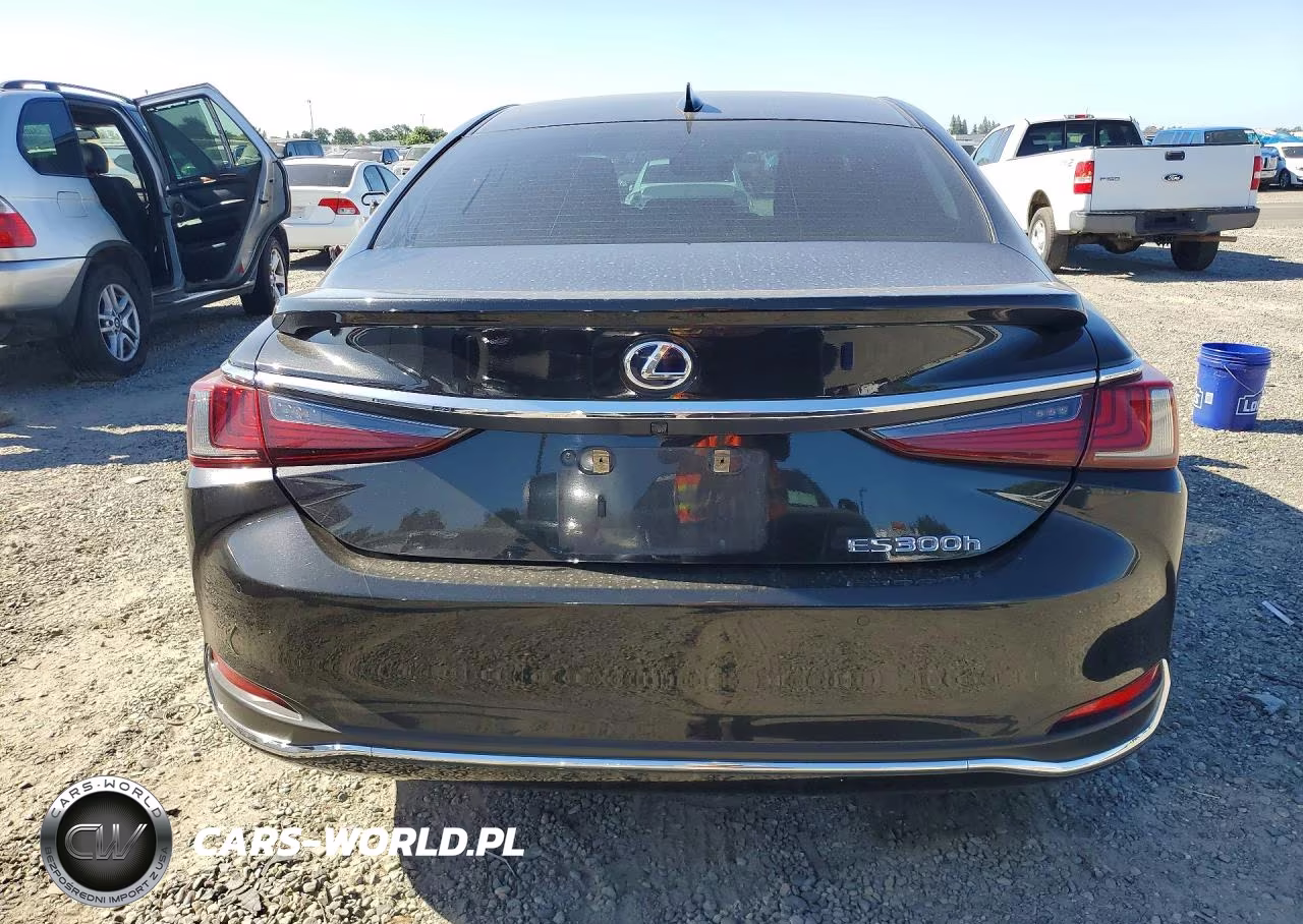 2020 Lexus Es 300H VIN:58AD21B16LU008743 - 6