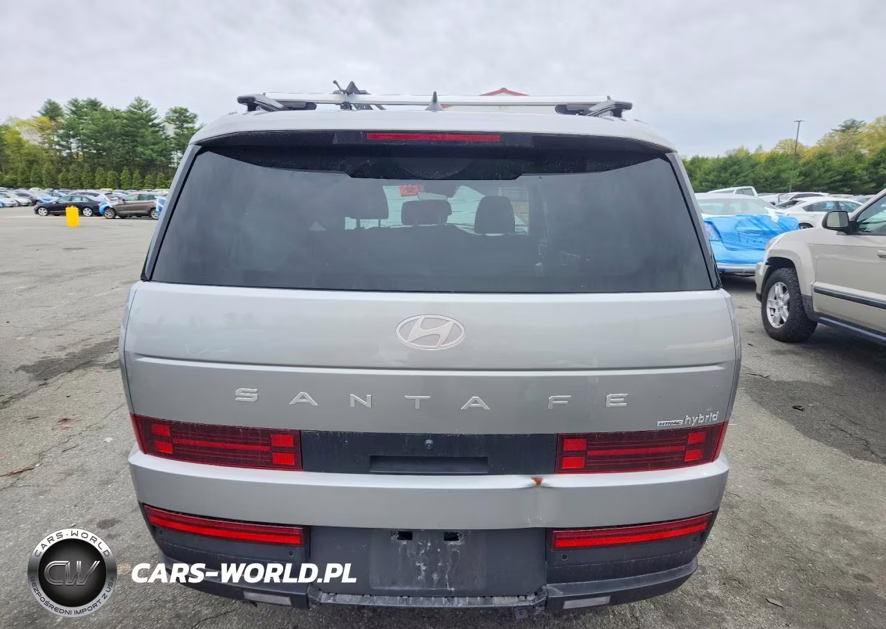 2024 Hyundai Santa Fe Sel VIN:5NMP2DG16RH011080 - 6