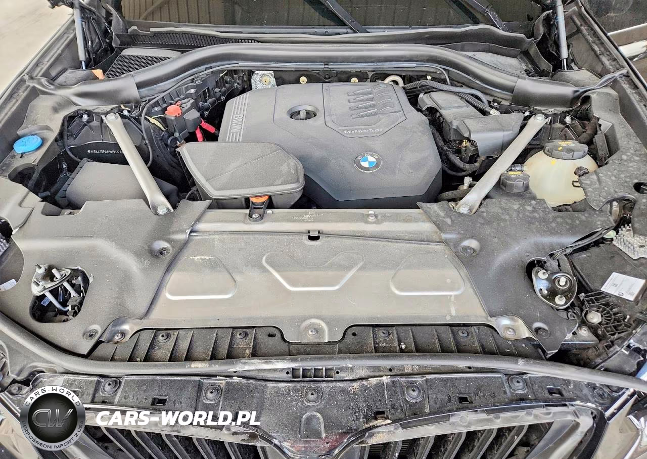 2023 BMW X3 Sdrive30I VIN:WBX47DP03PN191276 - 12