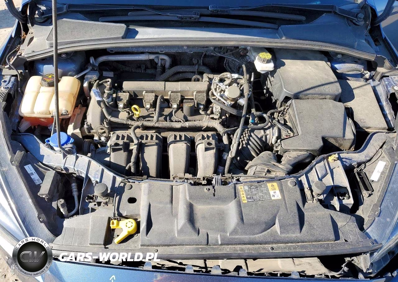 2018 Ford Focus Sel VIN:1FADP3M29JL202271 - 11