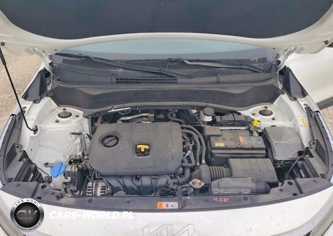 2025 Kia Seltos Ex VIN:KNDER2AA8S7783772 - 11