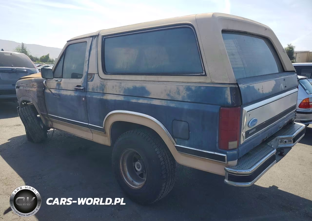 1986 Ford Bronco U100 VIN:1FMEU15N6GLA34677 - 2