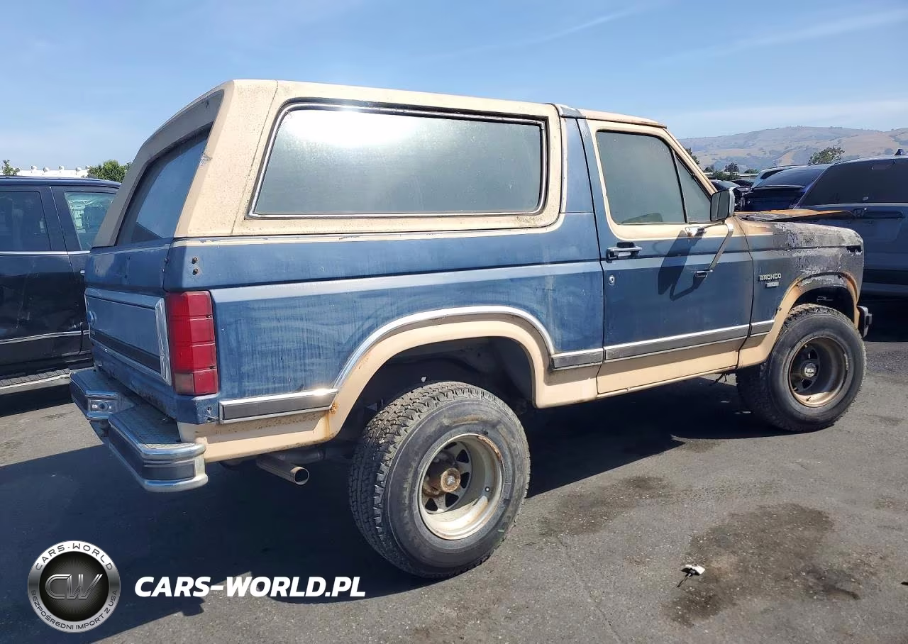 1986 Ford Bronco U100 VIN:1FMEU15N6GLA34677 - 3