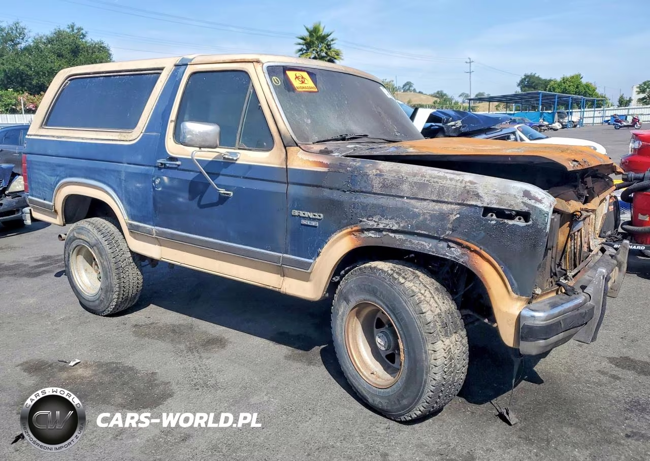 1986 Ford Bronco U100 VIN:1FMEU15N6GLA34677 - 4