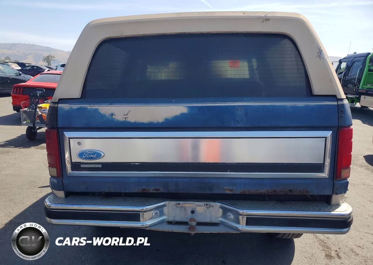 1986 Ford Bronco U100 VIN:1FMEU15N6GLA34677 - 6