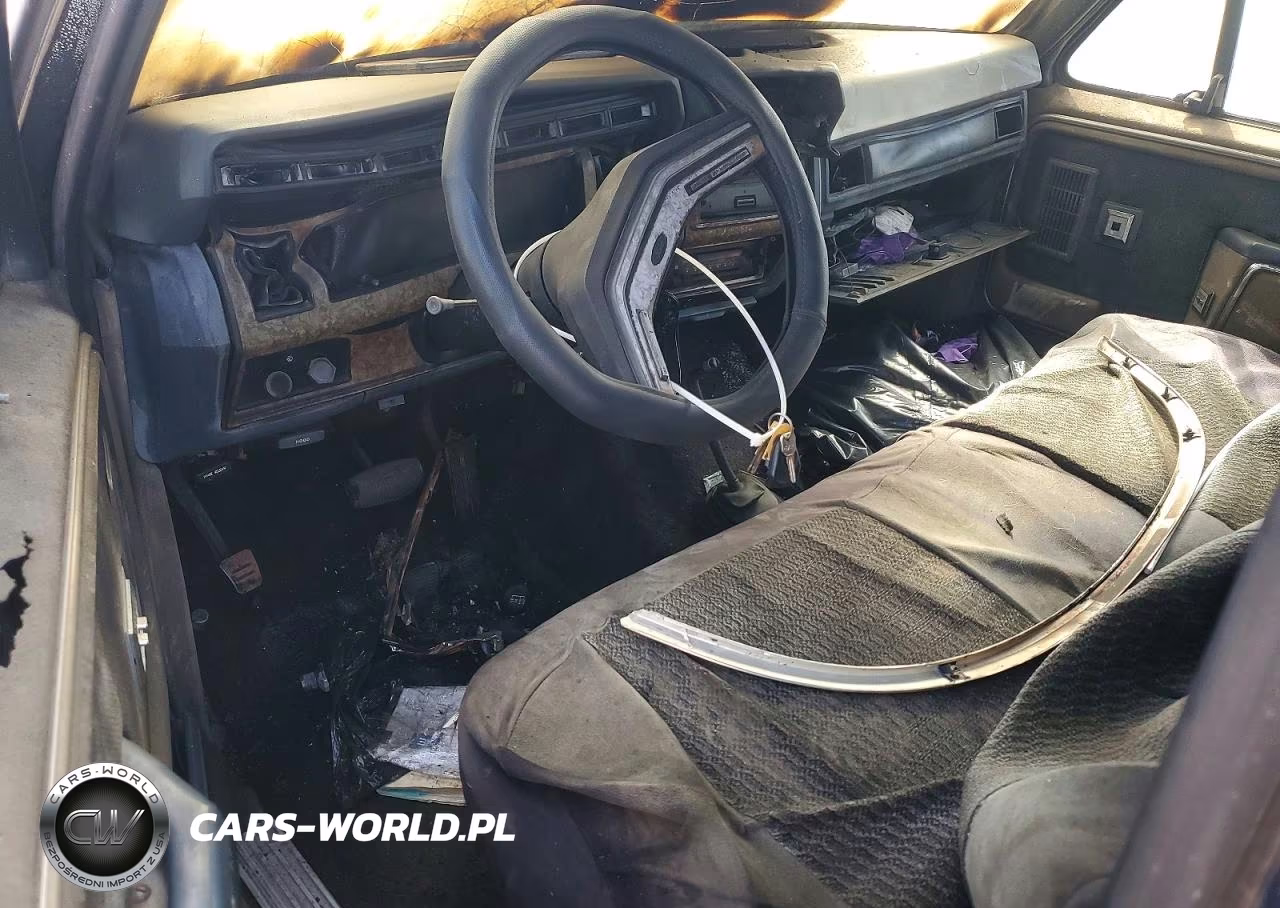 1986 Ford Bronco U100 VIN:1FMEU15N6GLA34677 - 8