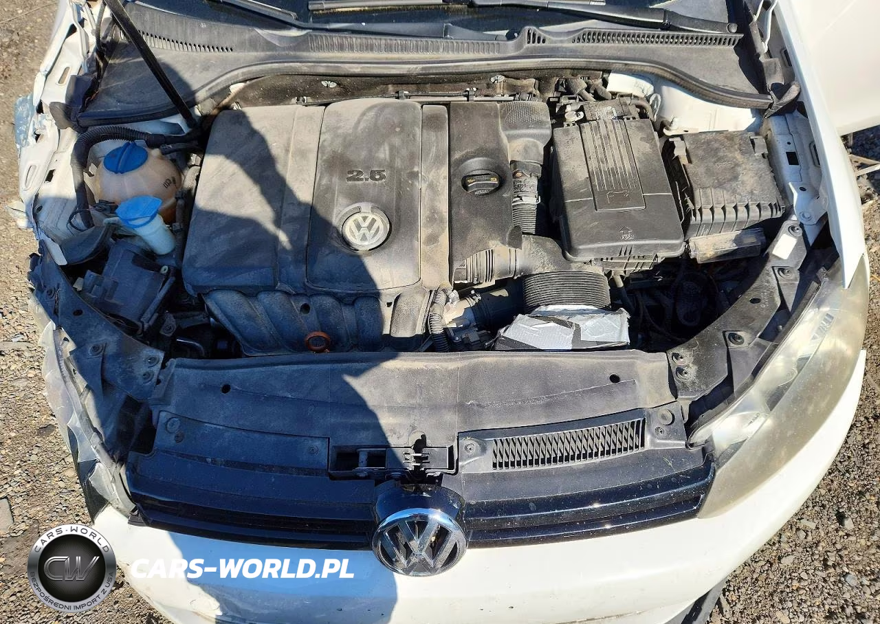 2010 Volkswagen Golf VIN:WVWDB7AJXAW251733 - 11
