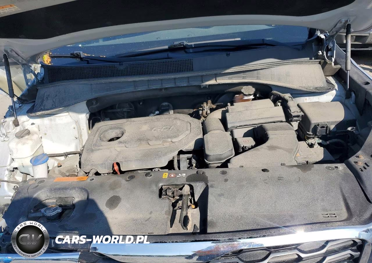 2019 Kia Sorento Lx VIN:5XYPGDA37KG571007 - 12