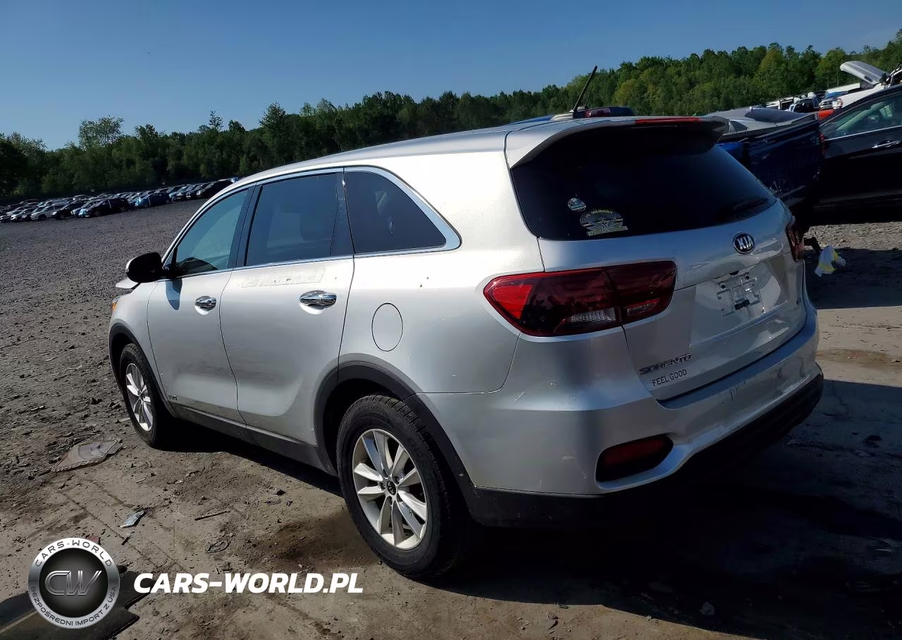 2019 Kia Sorento Lx VIN:5XYPGDA37KG571007 - 2