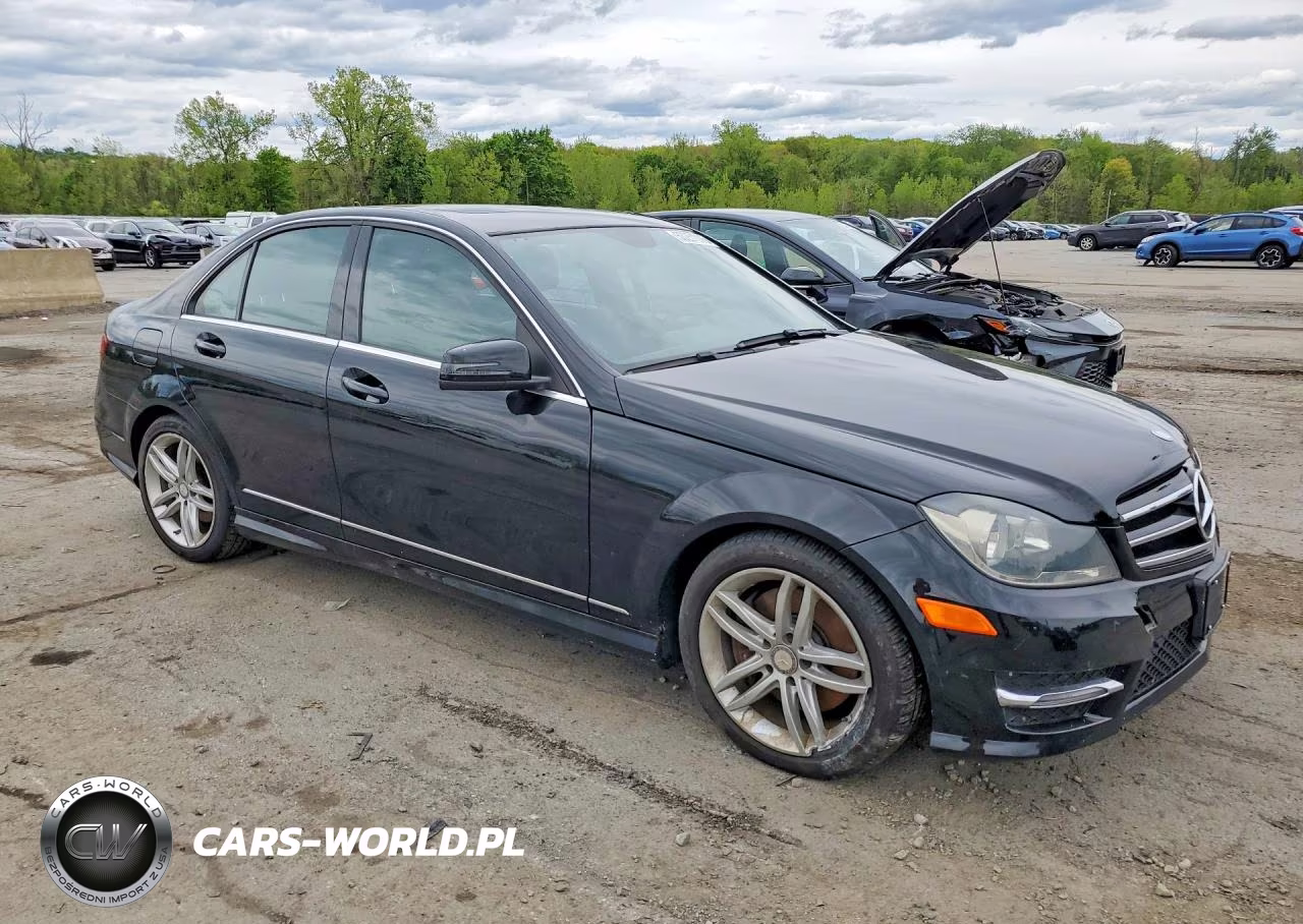 2014 Mercedes-Benz C 300 4Matic VIN:WDDGF8AB1EG253974 - 4