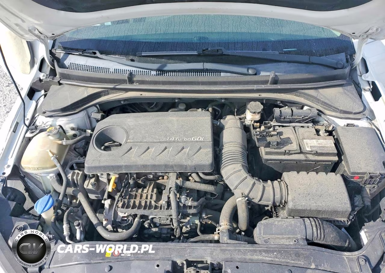 2017 Hyundai Elantra Eco VIN:5NPD94LA4HH073471 - 11