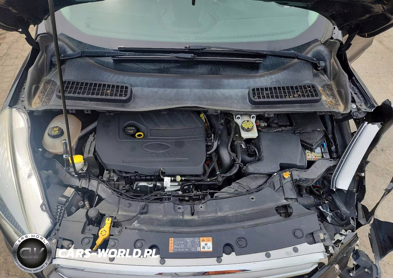 2017 Ford Escape Se VIN:1FMCU0GD8HUB20901 - 12