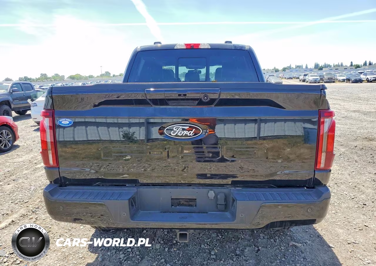 2024 Ford F150 Platinum VIN:1FTFW7L86RFA11601 - 6