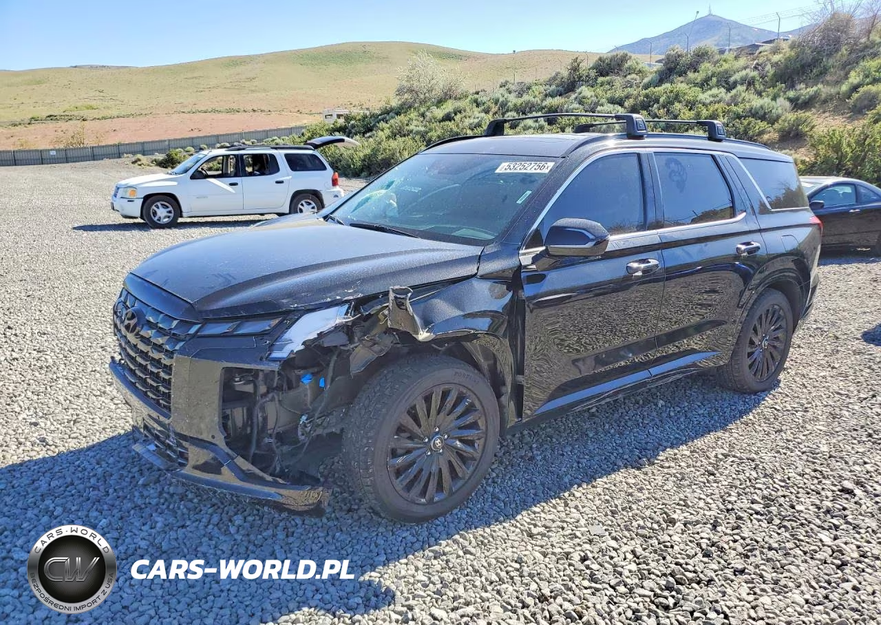 2024 Hyundai Palisade Calligraphy Night Edition VIN:KM8R7DGE6RU707634 - 1