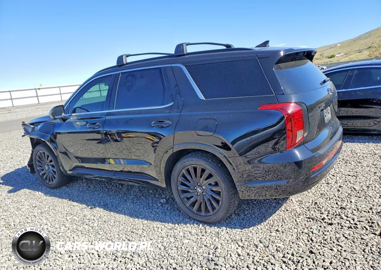 2024 Hyundai Palisade Calligraphy Night Edition VIN:KM8R7DGE6RU707634 - 2