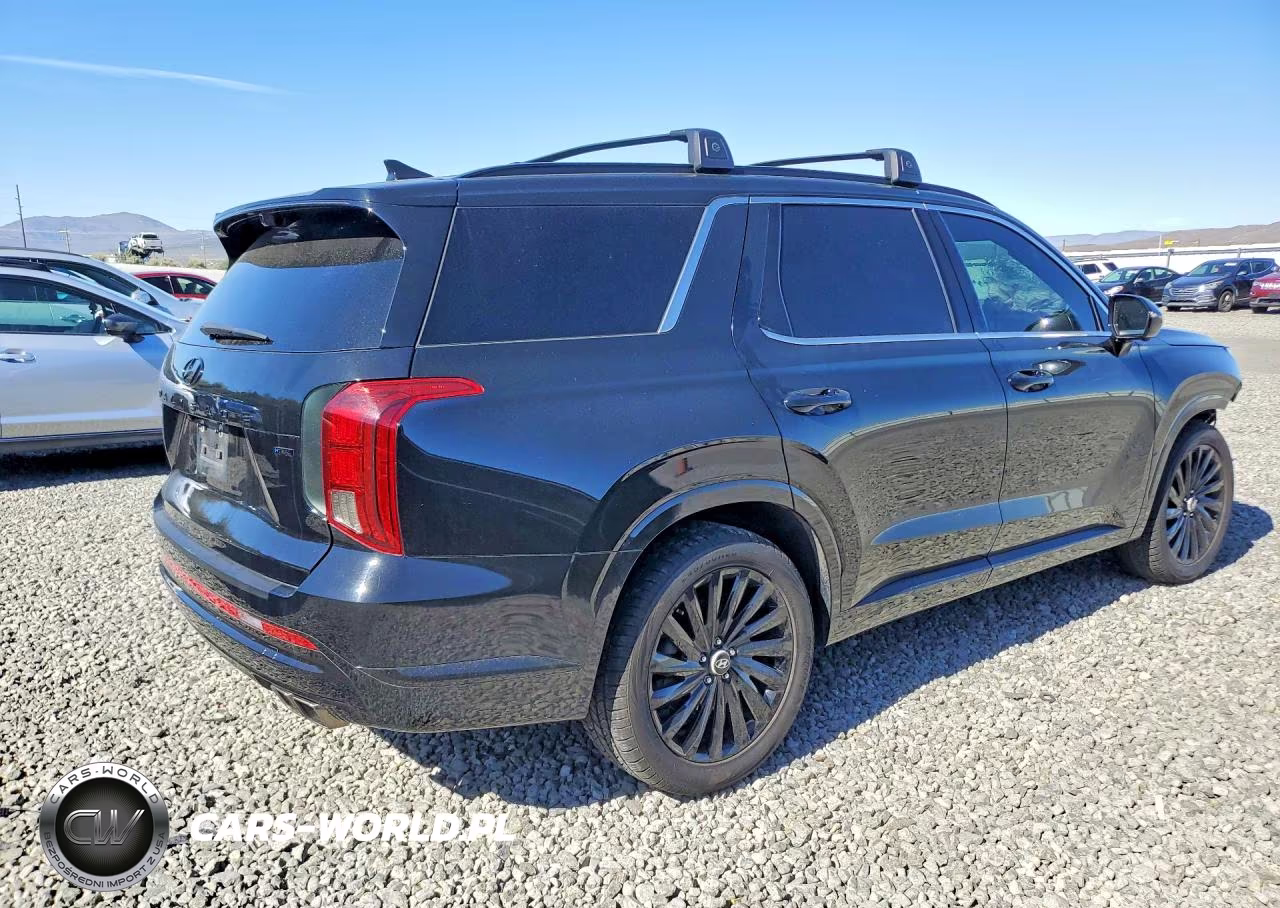 2024 Hyundai Palisade Calligraphy Night Edition VIN:KM8R7DGE6RU707634 - 3