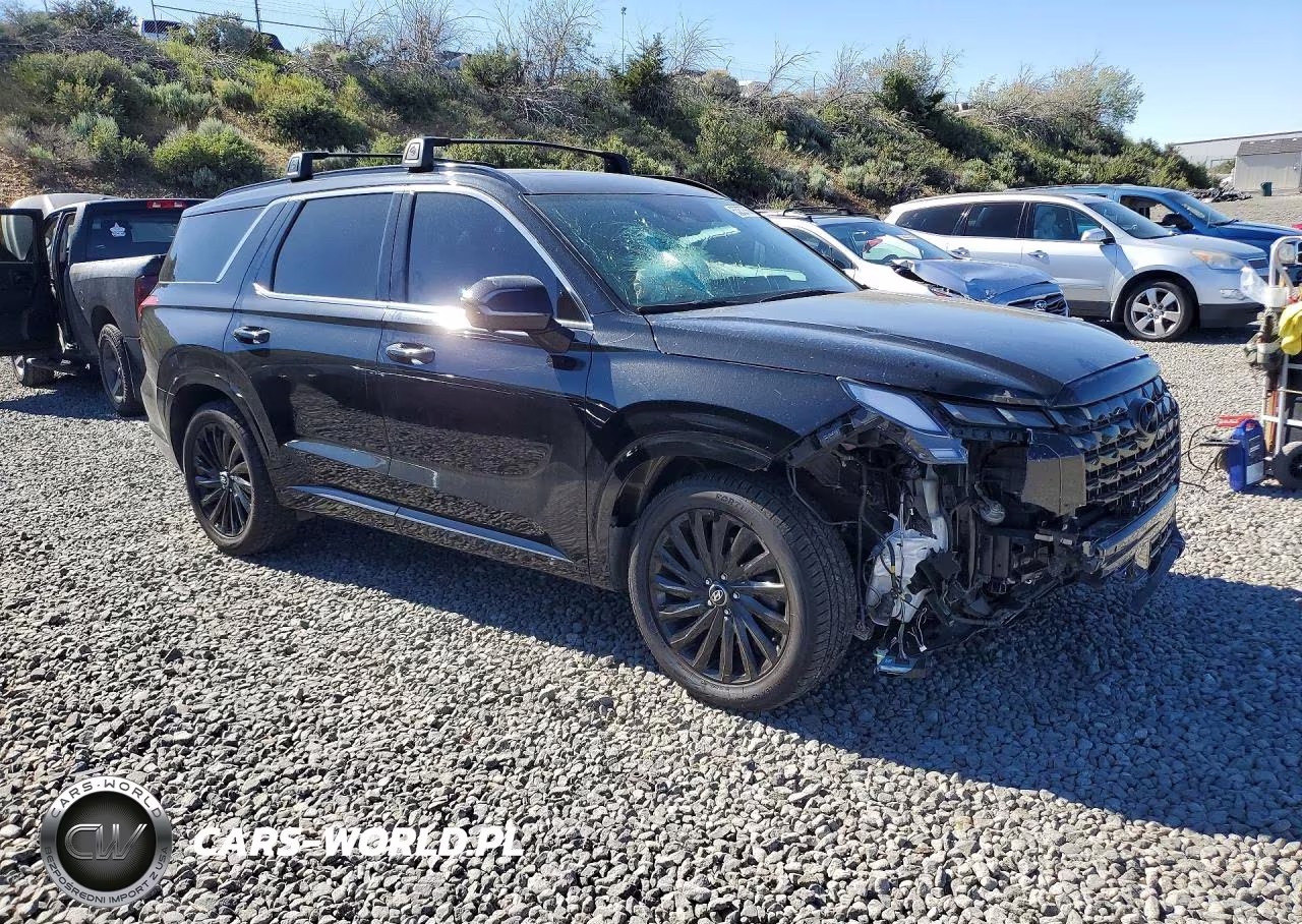 2024 Hyundai Palisade Calligraphy Night Edition VIN:KM8R7DGE6RU707634 - 4