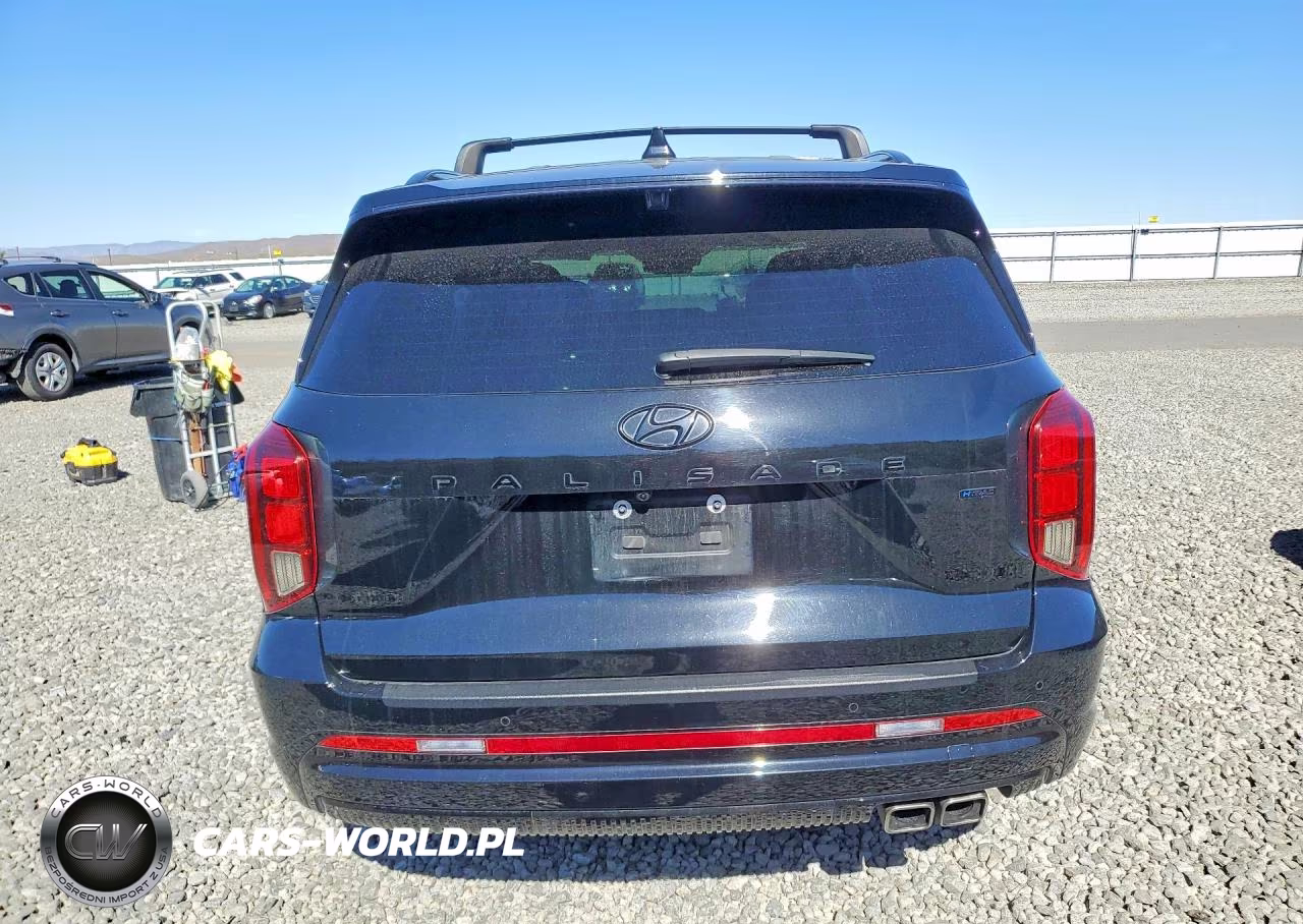 2024 Hyundai Palisade Calligraphy Night Edition VIN:KM8R7DGE6RU707634 - 6