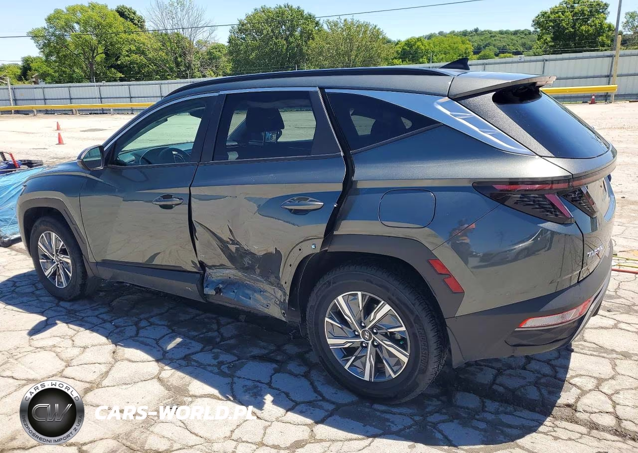 2023 Hyundai Tucson Blue VIN:KM8JBCA16PU127292 - 2