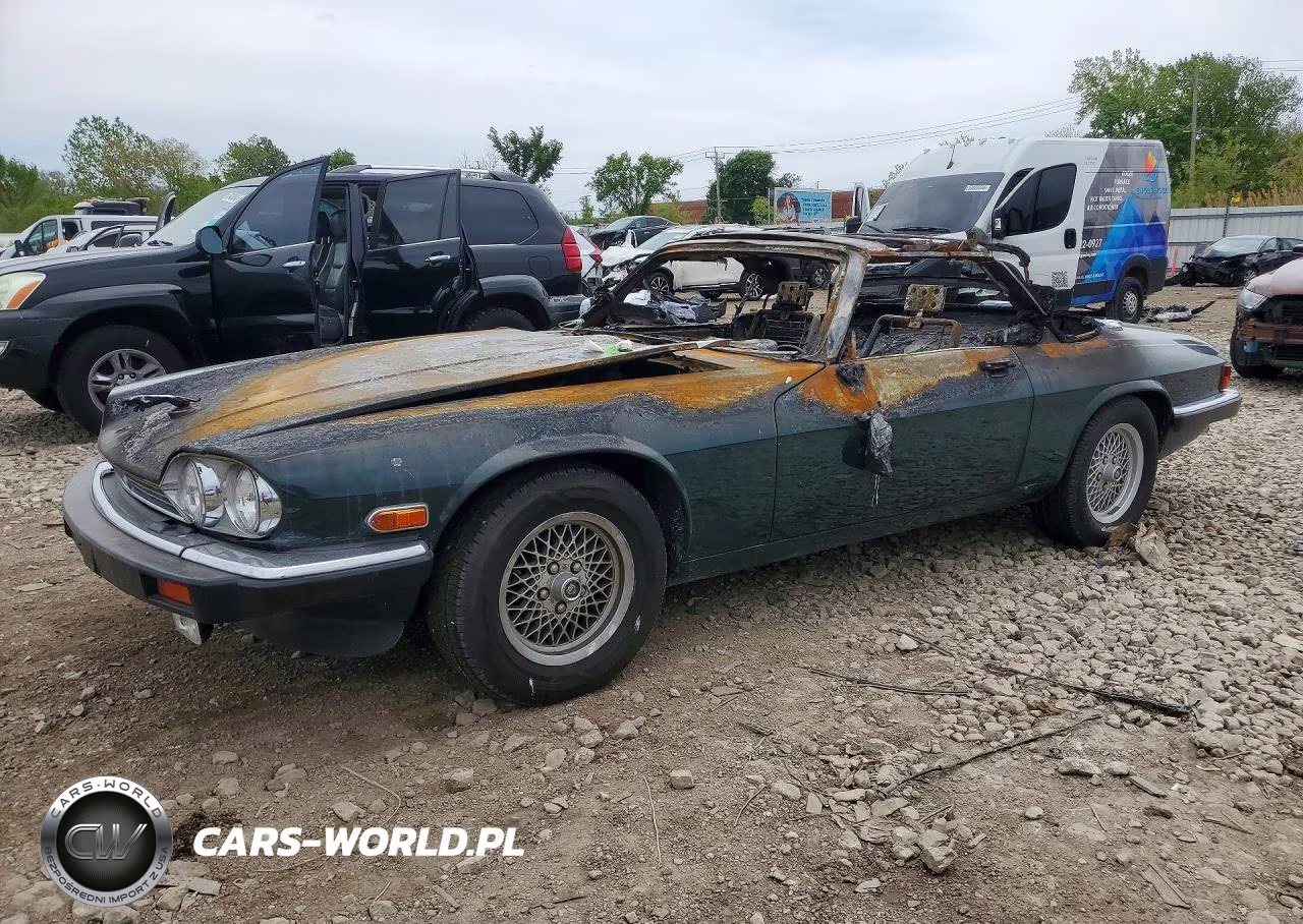 1991 Jaguar Xjs Classic Collection VIN:SAJTW4843MC177089 - 1