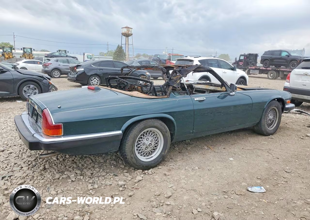 1991 Jaguar Xjs Classic Collection VIN:SAJTW4843MC177089 - 3