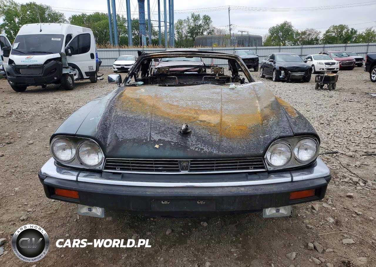 1991 Jaguar Xjs Classic Collection VIN:SAJTW4843MC177089 - 5