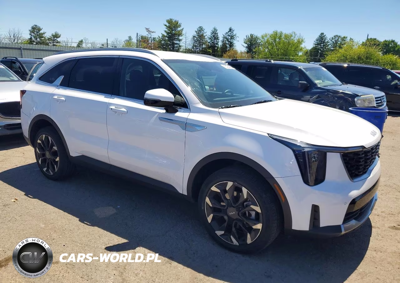 2025 Kia Sorento Ex VIN:5XYRHDJF1SG403671 - 4