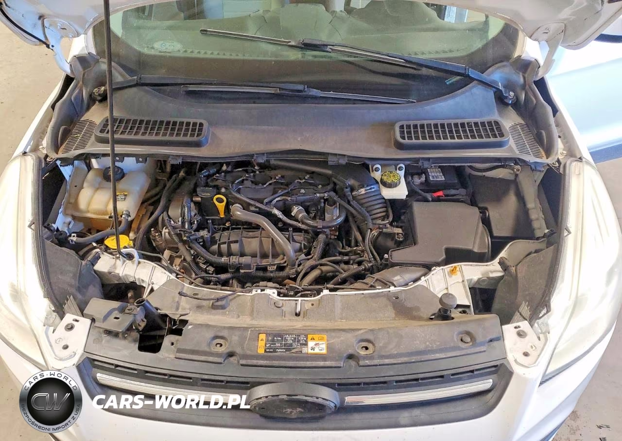 2013 Ford Escape Se VIN:1FMCU0GX8DUC34823 - 12