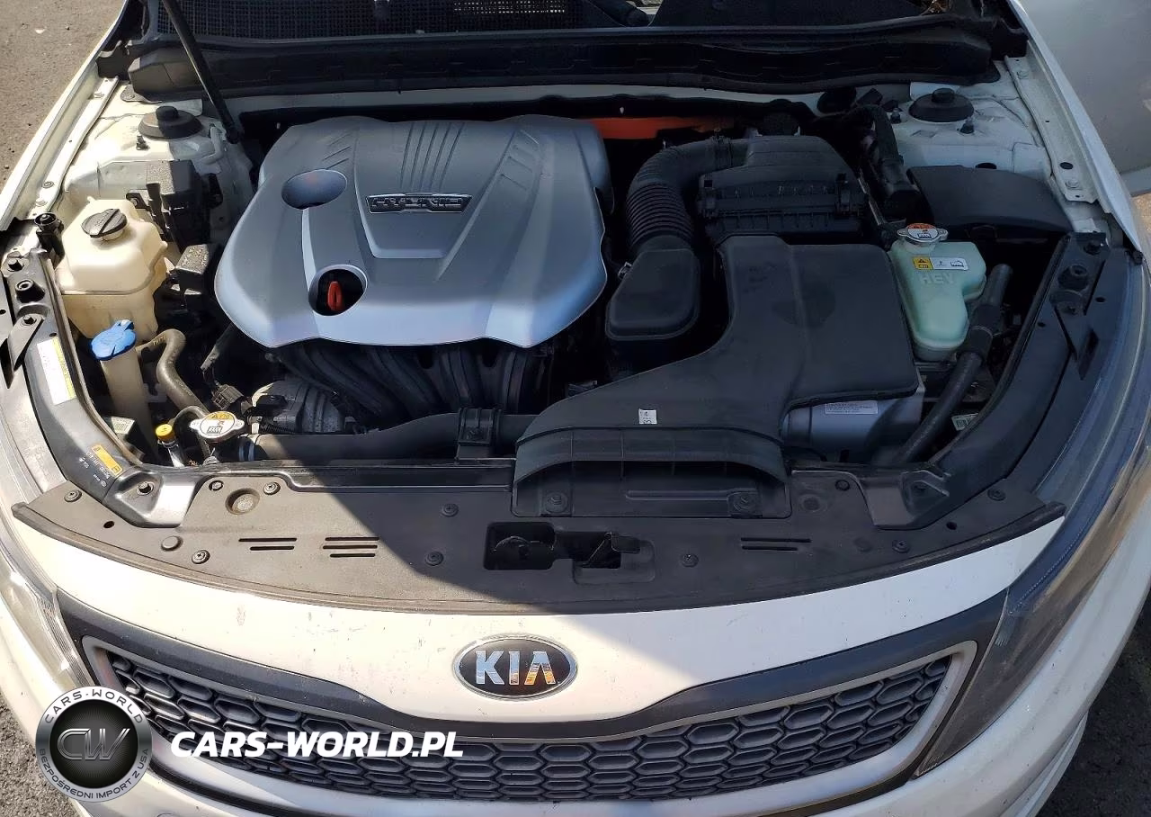 2015 Kia Optima Hybrid VIN:KNAGM4AD3F5087137 - 11