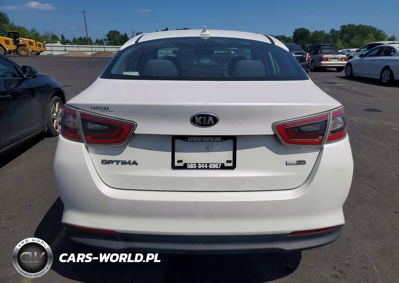 2015 Kia Optima Hybrid VIN:KNAGM4AD3F5087137 - 6