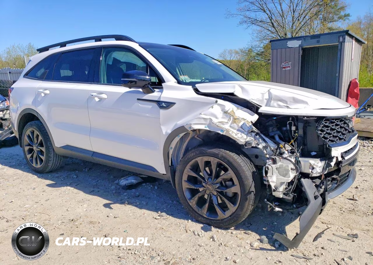 2022 Kia Sorento X-Line Sx Prestige VIN:5XYRKDLF2NG087085 - 4