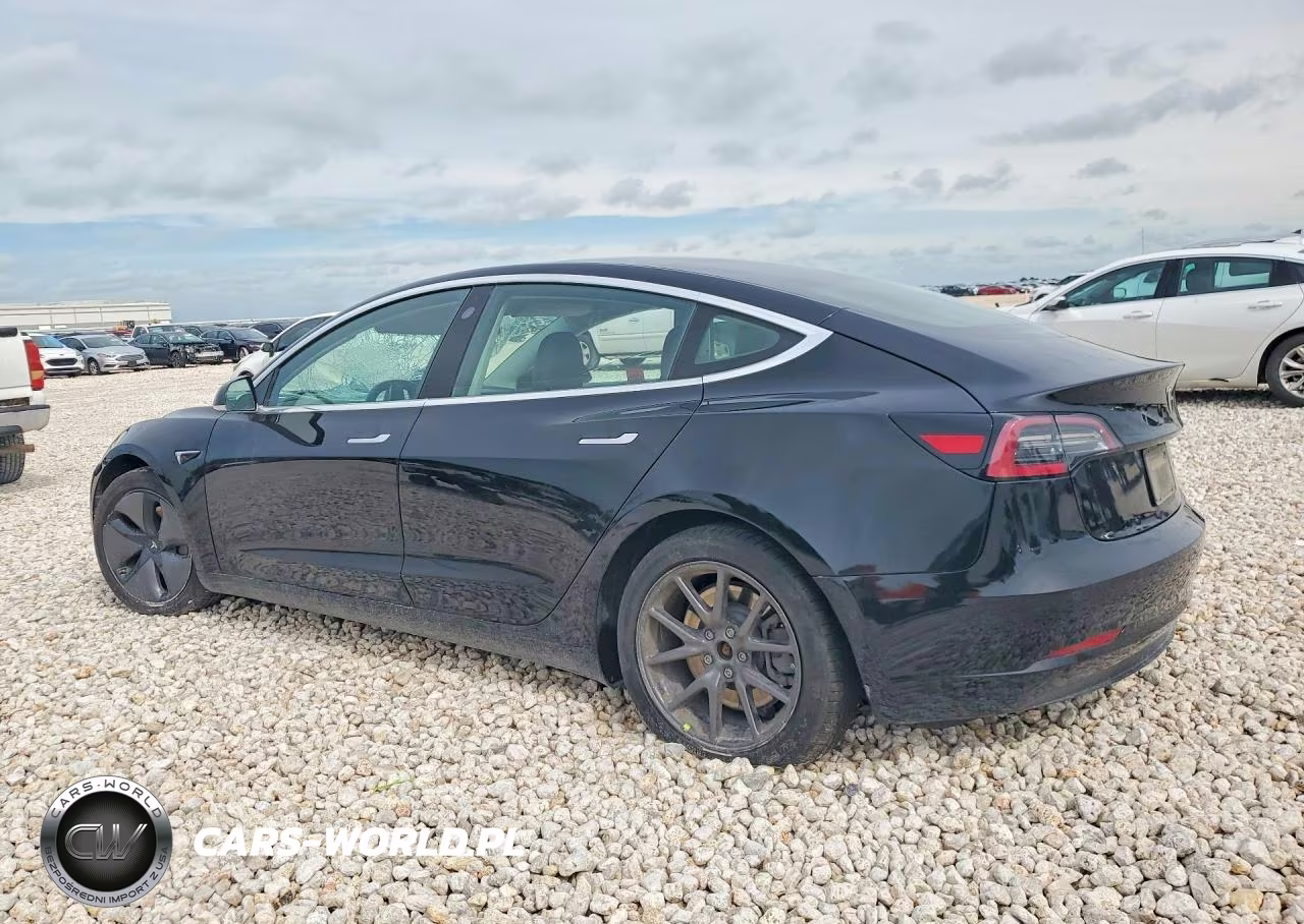 2019 Tesla Model 3 VIN:5YJ3E1EB2KF384205 - 2
