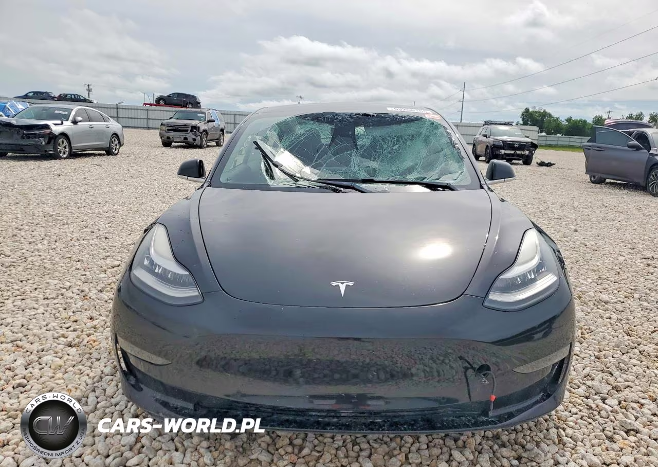 2019 Tesla Model 3 VIN:5YJ3E1EB2KF384205 - 5