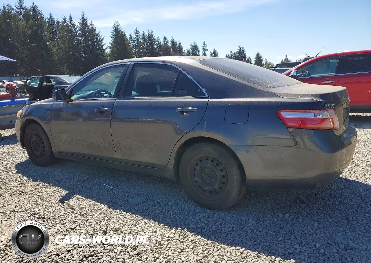 2009 Toyota Camry Le VIN:4T4BE46K39R123437 - 2