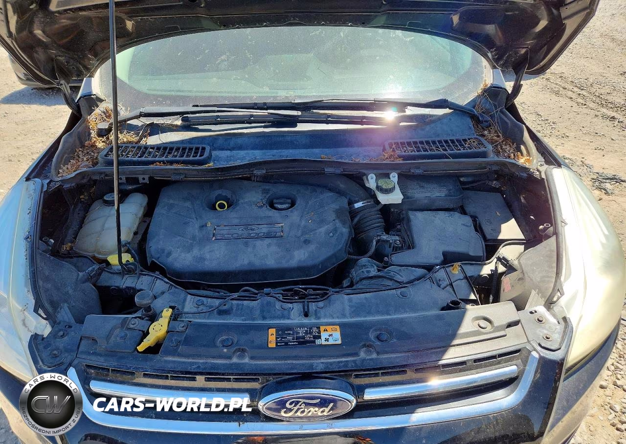 2013 Ford Escape Sel VIN:1FMCU9H9XDUB97715 - 12