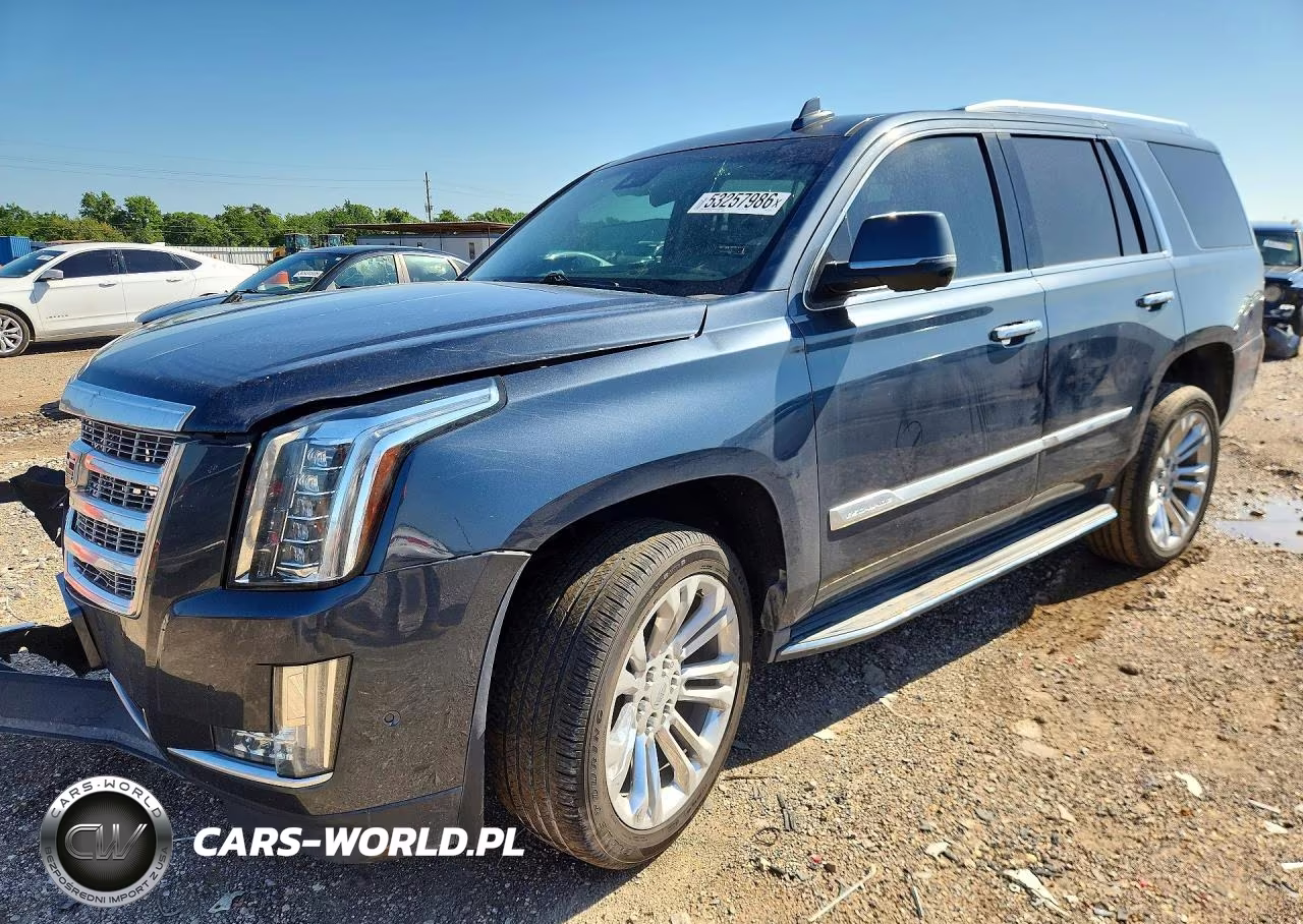 2019 Cadillac Escalade Luxury – zdjęcie 1 z 13