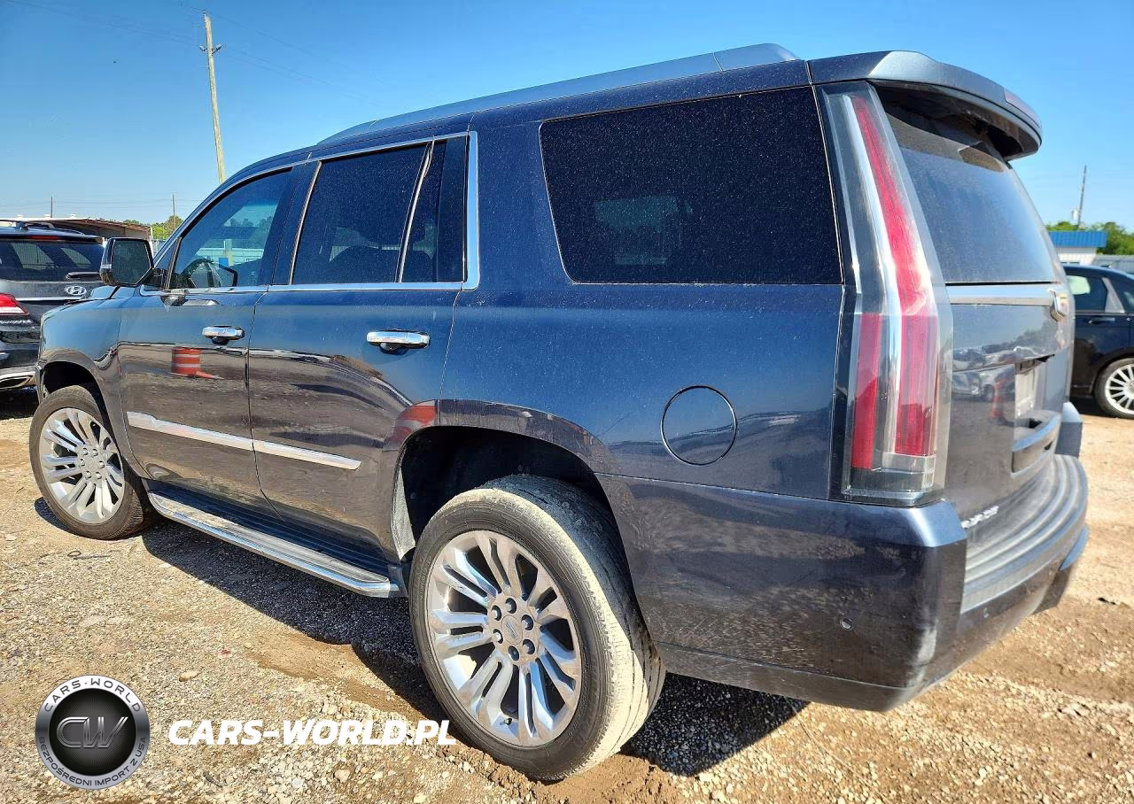 2019 Cadillac Escalade Luxury VIN:1GYS3BKJ7KR191555 - 2